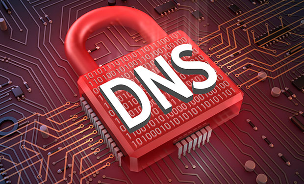 DNS Security Services Provider in India