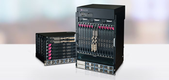 Check Point High Performance and Scalable Platforms Firewall 400064000 Series